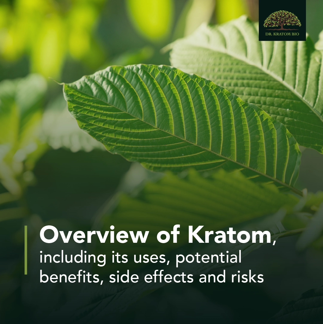 Overview of Kratom, including its uses, potential benefits, side effects, and risks.