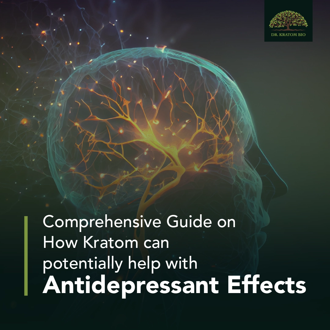 Comprehensive Guide on How Kratom Can Potentially Help with Antidepressant Effects